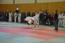 Bezirk_EZM_Altenfurt_18012015_120