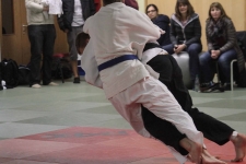 04 03 16_0052klein (1).jpg