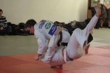 04 03 16_0096klein.jpg