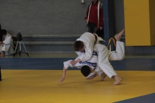 30 01 16_0033klein.jpg